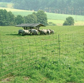 Image de Filet Titan-Net 50m / 90cm simple pointe