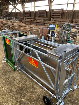 Image de CAGE PESAGE PM110+INDCATEUR S3