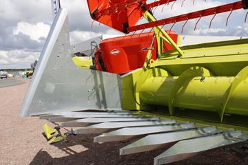 Image de Plateaux tournesol à montage rapide POGET